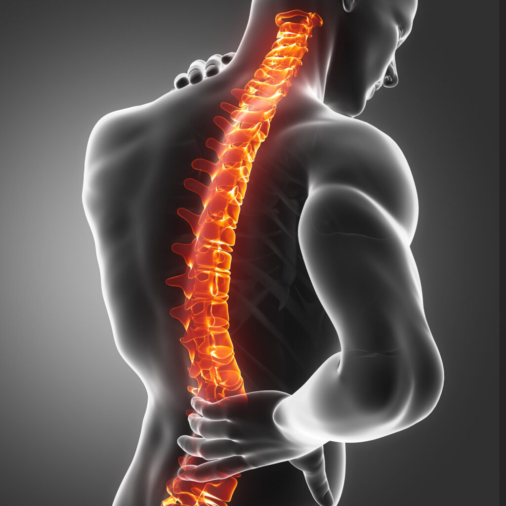 Spine Back Pain